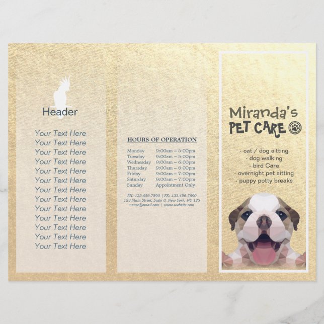 Pet Care Sitting Grooming Salon Tri-Fold Brochures (Front)