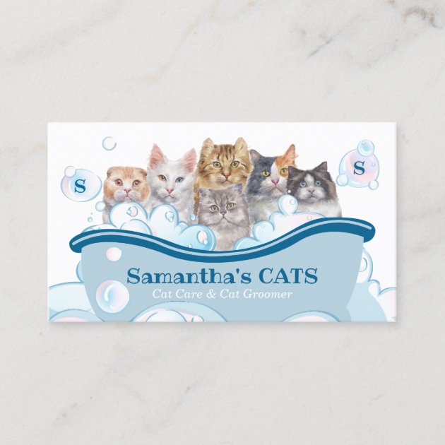 Pet Care Spa Salon Sitting Bathtub Groomer Cat Business Card