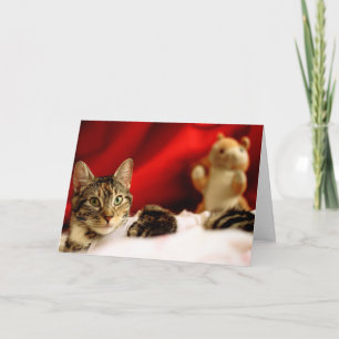 Pet Cat Christmas Card