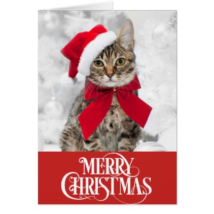 Pet Cat Dog Christmas Card