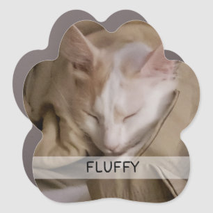 Pet Cat Dog Photo Name Car Magnet