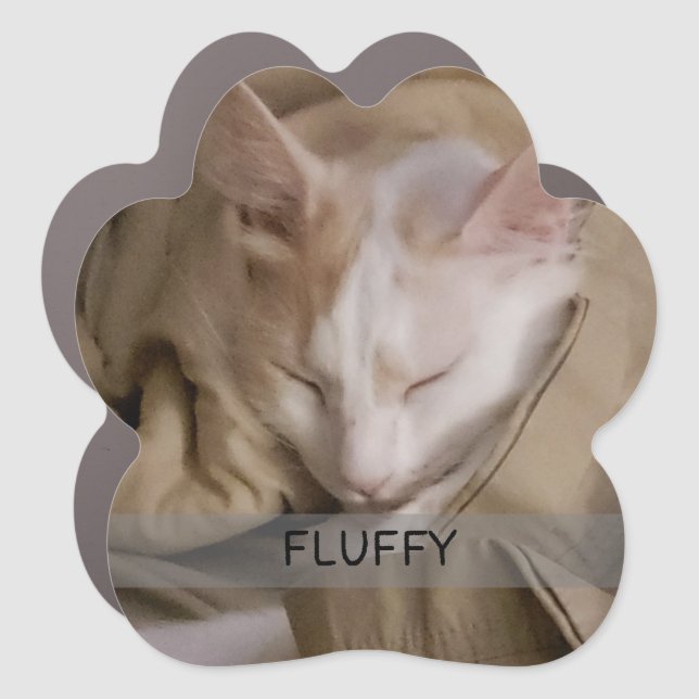 Pet Cat Dog Photo Name Car Magnet (Front)