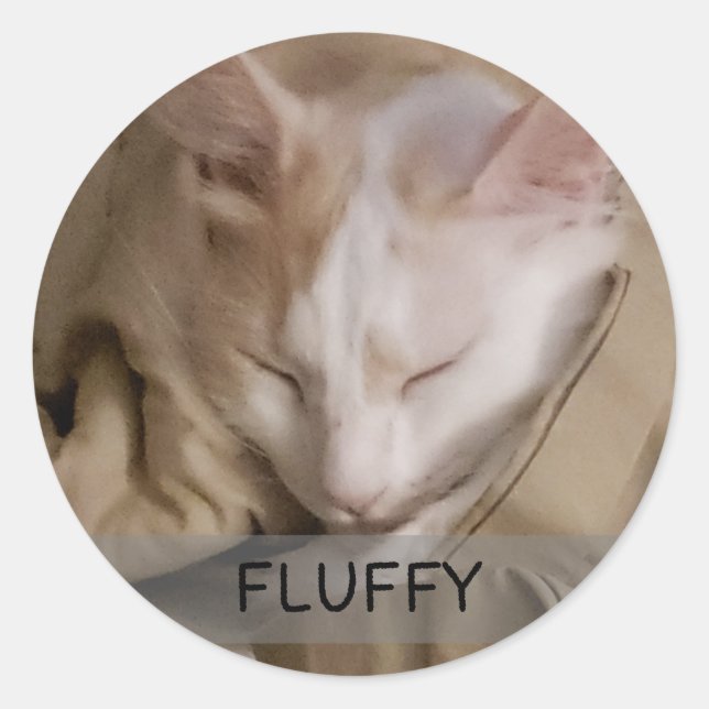 Pet Cat Dog Photo Name Classic Round Sticker (Front)