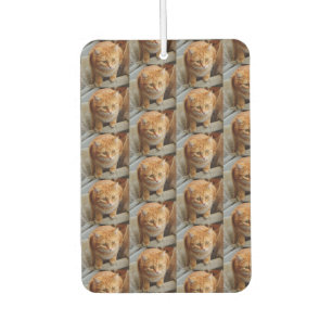 Pet Cat Dog Photo Personalize Custom Large  Air Freshener