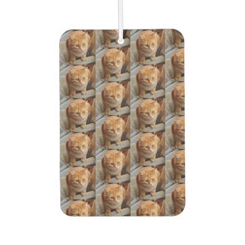 Pet Cat Dog Photo Personalize Custom Large  Air Freshener