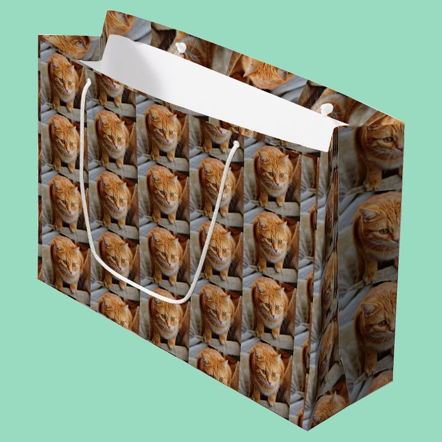 Pet Cat Dog Photo Personalize Custom Large Gift Bag (Creator Uploaded)