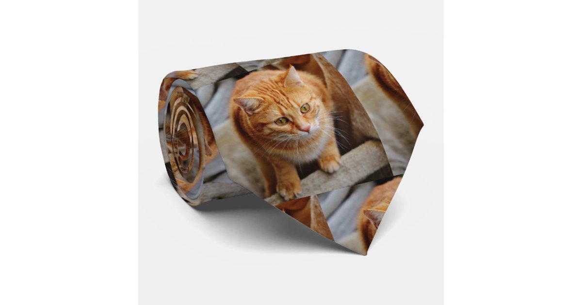 personalized dog tie
