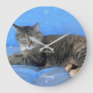 pet cat feline warm love baby large clock