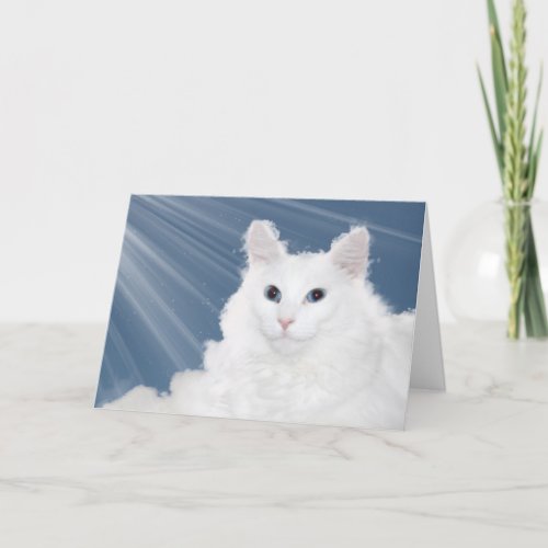 Pet cat loss sympathy card