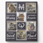 Pet Cat Memorial Unique Photo Collage