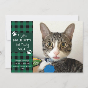 Pet Cat Naughty and Nice Green Black Plaid Holiday Card