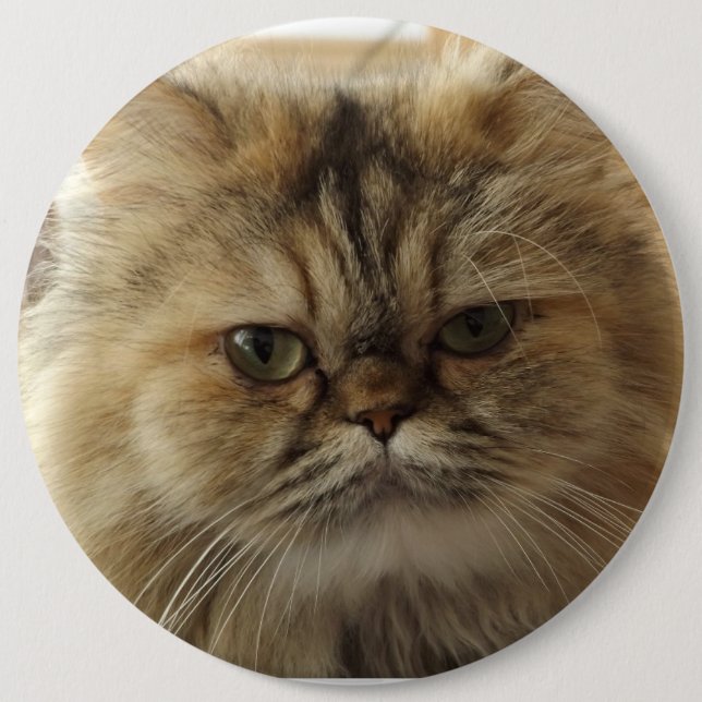 PET CAT PHOTO BUTTON CUSTOM LARGE (Front)