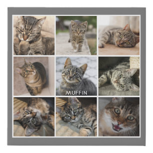 Pet Cat Photo Collage Gray Personalized Faux Canvas Print