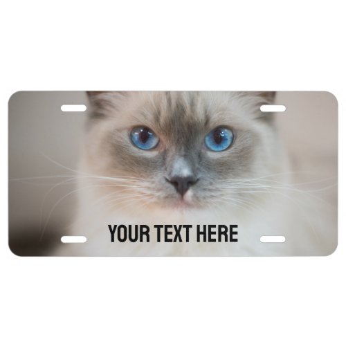 Pet Cat Photo Custom Text License Plate