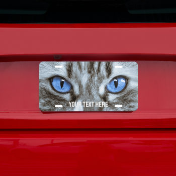 Pet Cat Photo Custom Text License Plate by HasCreations at Zazzle
