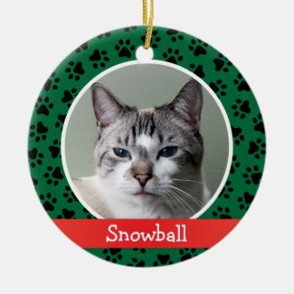 Pet Cat Photo Green Paw Prints Holiday Monogram Ceramic Ornament