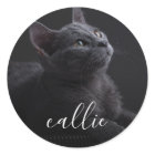 Pet Cat Photo Name