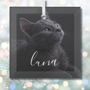 Pet Cat Photo Name Glass Ornament