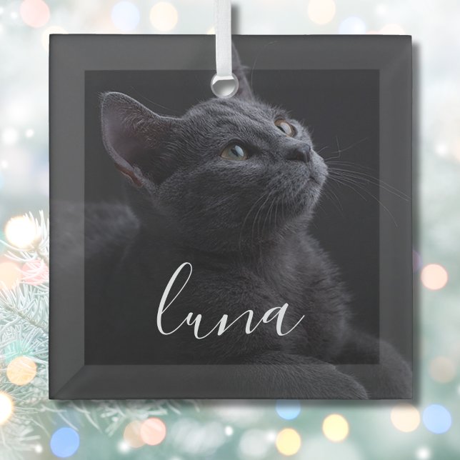Pet Cat Photo Name Glass Ornament (Pet Cat Ornament)