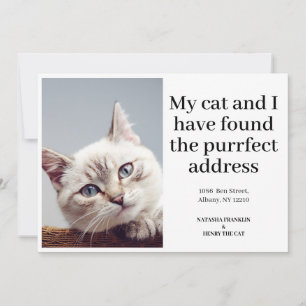 Pet Cat Photo New Address We've Moved Announcement