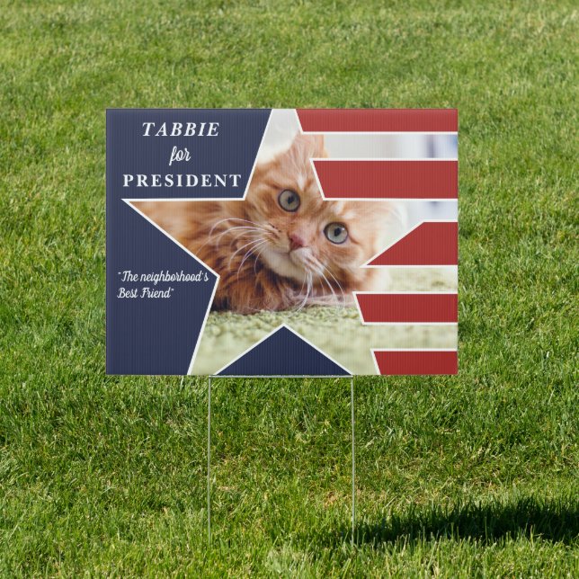 Pet Cat Photo Presidential Election 2024 Candidate Sign (Insitu)