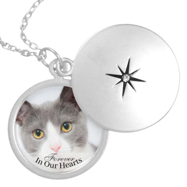 Pet Cat Photo Template Memorial Keepsake Locket Necklace (Front)