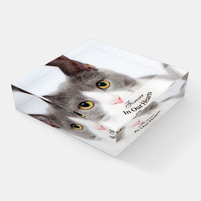 Pet Cat Photo Template Memorial Keepsake Paperweight (Angled)