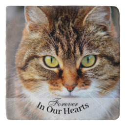 Pet Cat Photo Template Memorial Keepsake Trivet