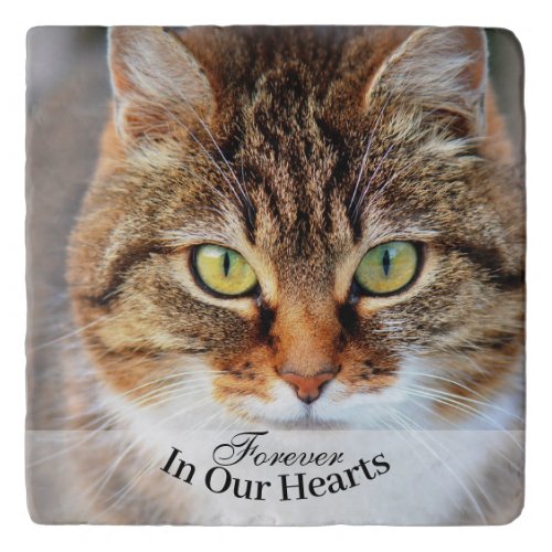 Pet Cat Photo Template Memorial Keepsake Trivet