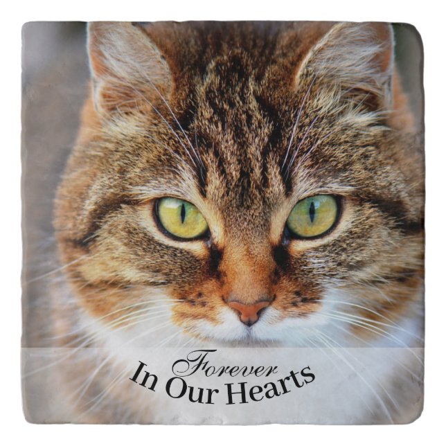 Pet Cat Photo Template Memorial Keepsake Trivet (Front)