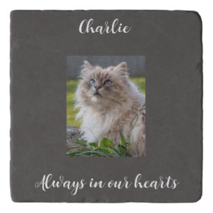 Pet Cat Remembrance Keepsake Photo Trivet