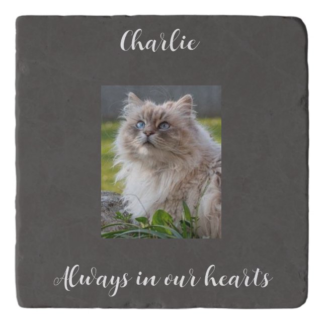 Pet Cat Remembrance Keepsake Photo Trivet (Front)