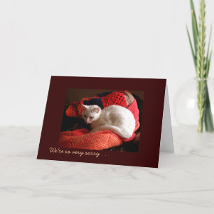 Pet Cat Sympathy Card