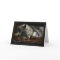 Pet Cat Sympathy Card, Loss Of Pet