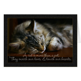 Pet Cat Sympathy Card, Loss Of Pet Card