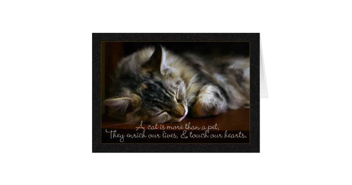 Pet Cat Sympathy Card, Loss Of Pet Card | Zazzle