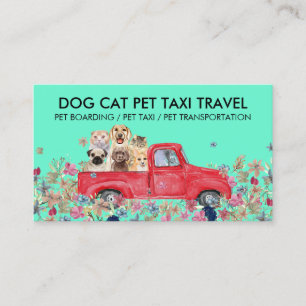 Pet Chauffeur Grooming And Vet Rides Business Card