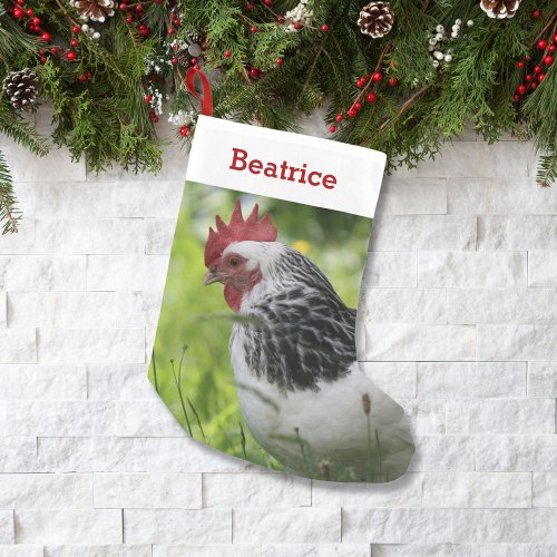 Pet Chicken Lover Photo and Name Personalized Small Christmas Stocking