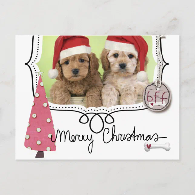 Pet Christmas Photo Card | Zazzle