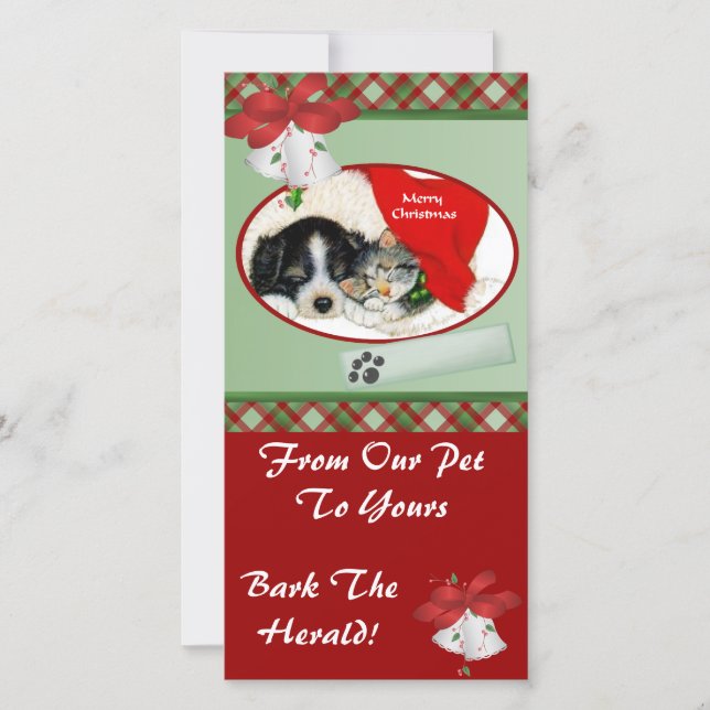 Pet Christmas Photo Card (Front)