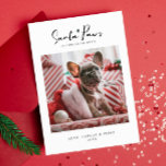 Pet Christmas Photo Card "Santa Paws" Flat Card<br><div class="desc">Pet Christmas Photo Card "Santa Paws" Flat Card</div>