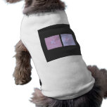 Kac  Pet Clothing