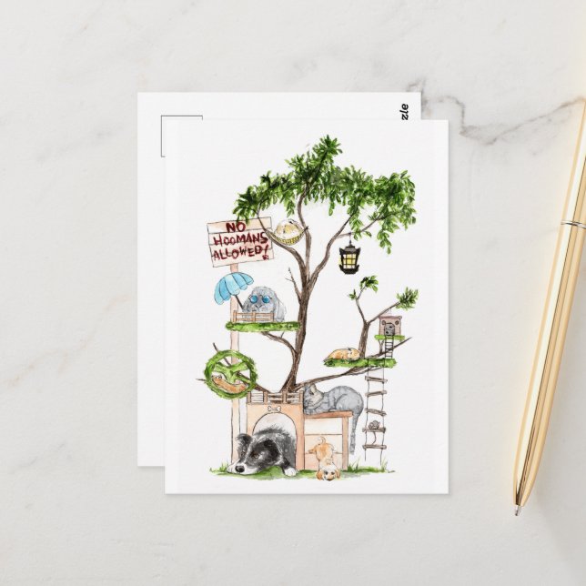 Pet Clubhouse- DNM Postcards (Front/Back In Situ)