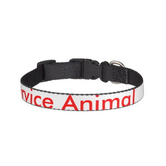 Pet Collar