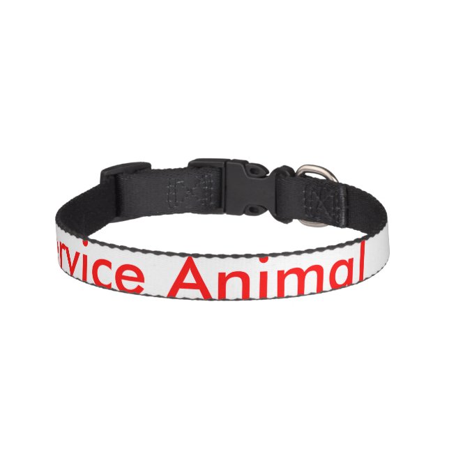 Pet Collar (Front)