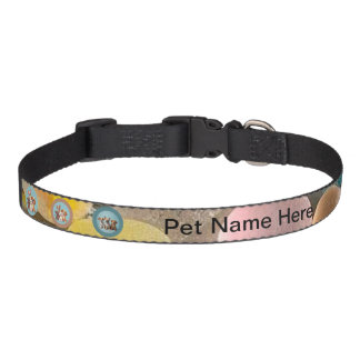 Pet Collar Dog