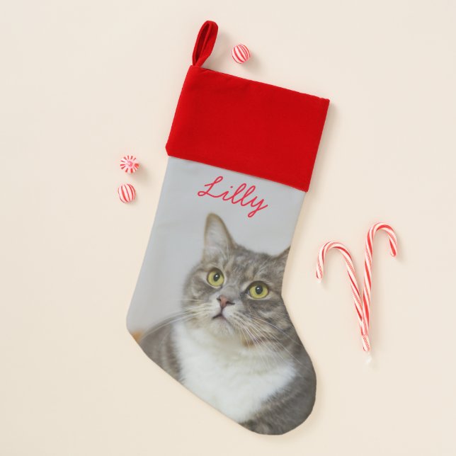 Pet Custom Photo and Name Christmas Stocking (Front)