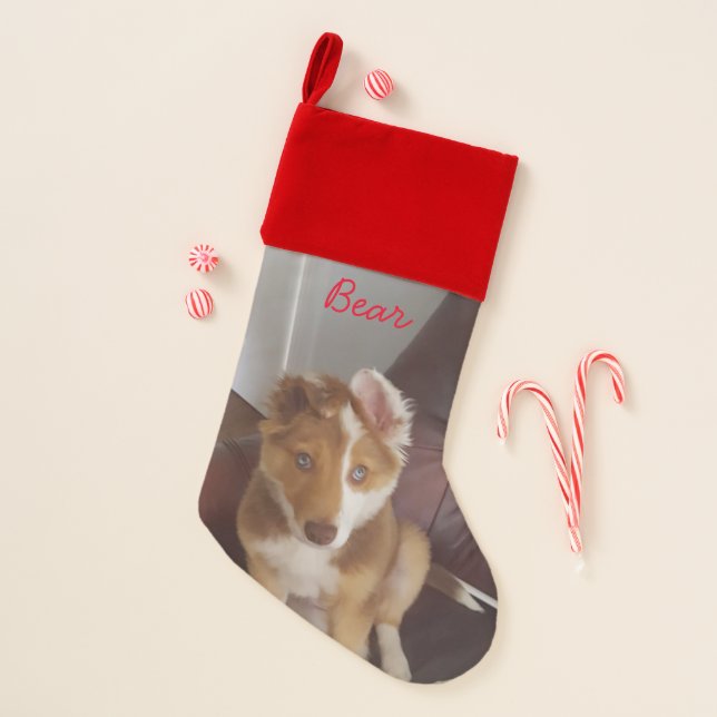 Pet Custom Photo and Name Christmas Stocking (Front)