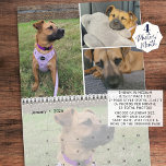 Pet Custom Photo Collage 4 Per Month Calendar<br><div class="desc">Create your own custom personalized photo collage calendar with 4 pictures per month utilizing this simple, easy-to-upload photo collage template including a full-bleed photo behind the calendar grid page. Ideal to feature a favorite dog, cat or other pet pictures or showcase your photography to enjoy throughout the year. CALENDAR OPTIONS:...</div>