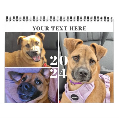 Pet Custom Photo Collage 4 Per Month Calendar